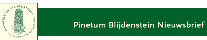 Pinetum Blijdenstein