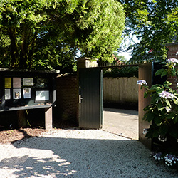 Pinetum