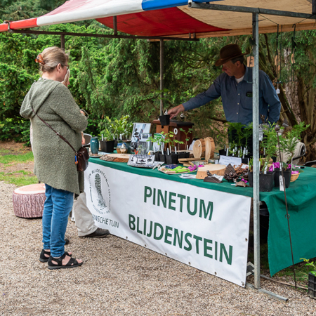 Pinetum