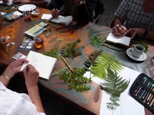 Cursus Botanisch tekenen voor beginners