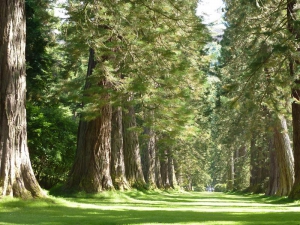 Zaterdag 20 en zondag 21 mei: Fête de la Nature