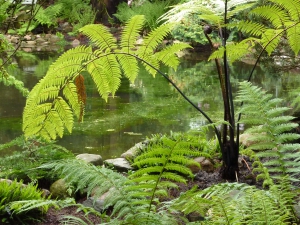 25 en 26 mei Fete de la Nature