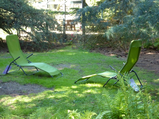 Beter in het Pinetum-dag op zondag 1 september