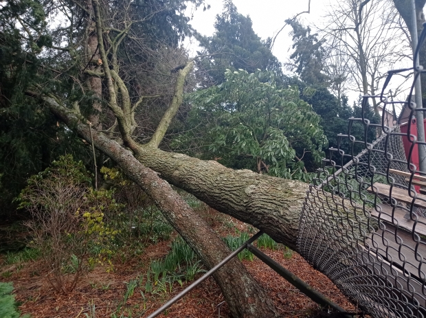 Storm Eunice
