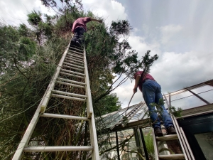 Werk in uitvoering