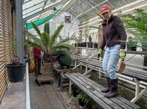 Op tijd voor de regen