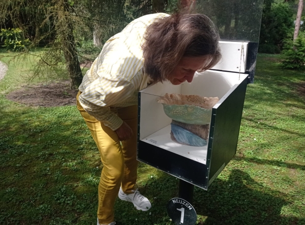 Neuzen in het Pinetum