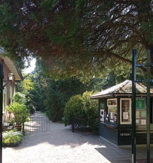 Komt u snel een wandeling maken?