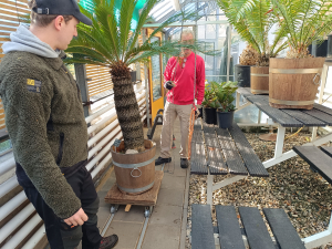 Blijdenstein smalspoor